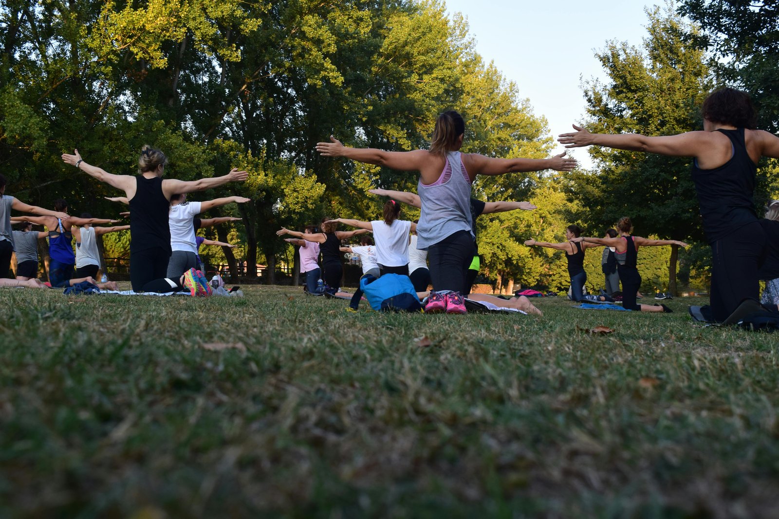 Exploring Different Types of Yoga at Retreats